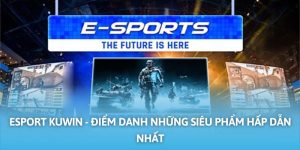 esport-Kuwin-anh-dai-dien