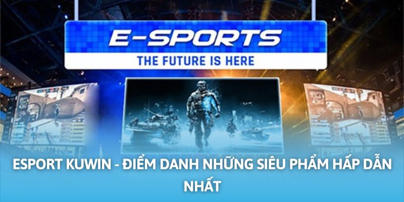 esport-Kuwin-anh-dai-dien