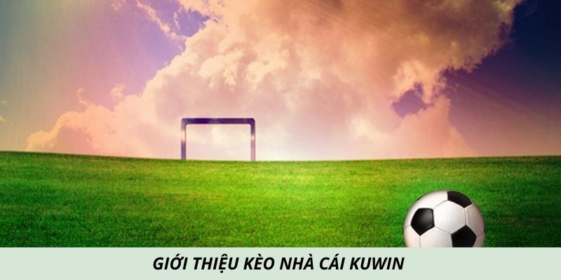 Giới thiệu kèo nhà cái KUWIN 