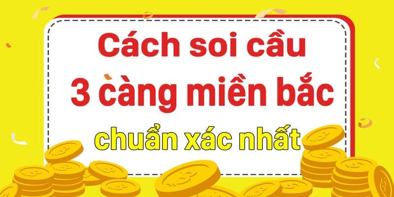 soi-cau-3-cang-mien-bac-anh-dai-dien